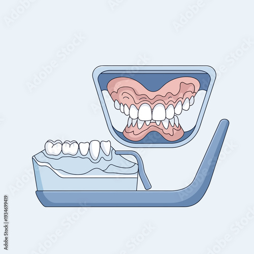 Dental Prosthetics Presentation: Detailed Visualization of Upper and Lower Denture Reconstructions