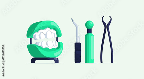 Dental Tools Illustration Featuring Model Teeth, Instruments, And Medical Equipment