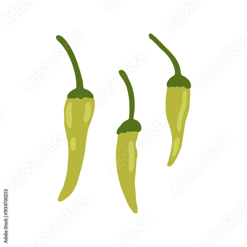 Fresh green jalapeno peppers isolated on white. Vector illustration. Spicy food texture for packaging, kitchen textile, restaurant menu and culinary design.