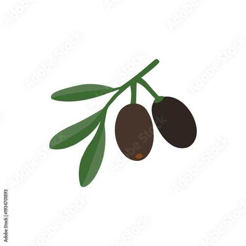 Black olives with green leaves.  Healthy greek food ingredient vector illustration. Icon isolated on white.