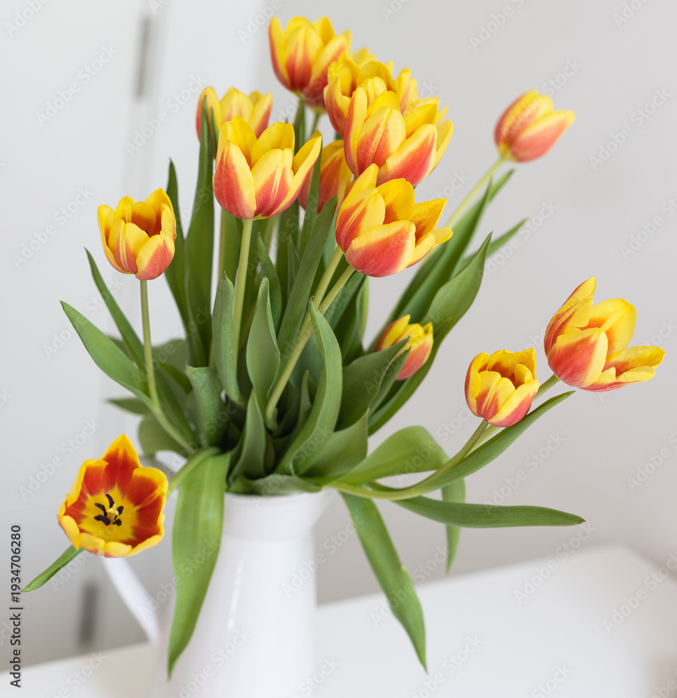 Fototapeta premium Yellow and red tulips in soft natural light. Concept of nature, beauty and spring