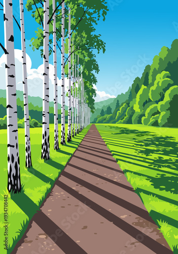 A beautiful vector illustration of a sun-drenched forest path lined with birch trees, creating a serene natural landscape