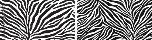 Seamless Black and White Zebra Print Vector Pattern