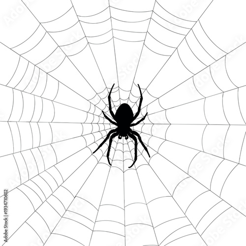 black spider centered on detailed web design graphic