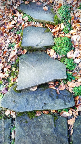 Fényképezés Stone stairs made of granite close-up in the park