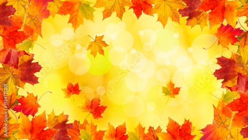 Falling autumn maple leaves frame on blurred golden yellow background with empty space. Fall. Spring. summer. Nature background