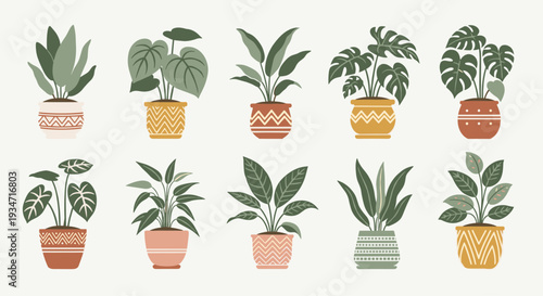 Collection of various houseplants in decorative pots on a light gray background, Generative AI.