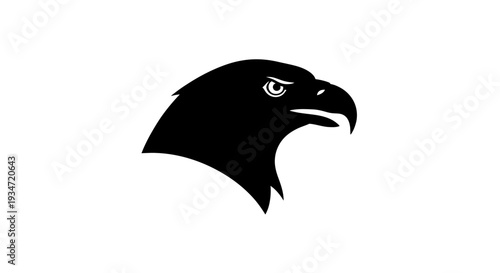 Black eagle head profile view.