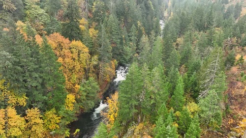 Aerial drone clip over and evergreen forest and river in the American West.