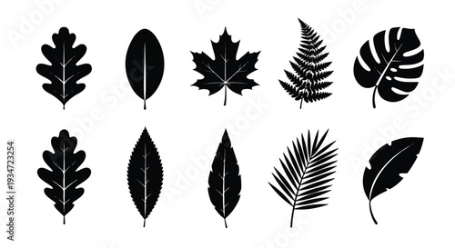 Collection of nine different leaf silhouettes arranged in two rows on a clean white background.
