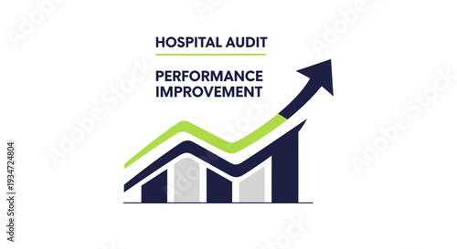Hospital Audit: Visualizing Performance Improvement and Strategic Growth in Healthcare