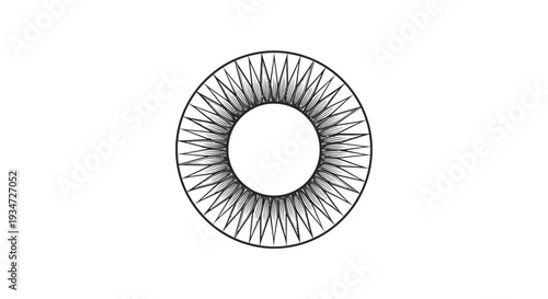 Detailed illustration of eye lashes.