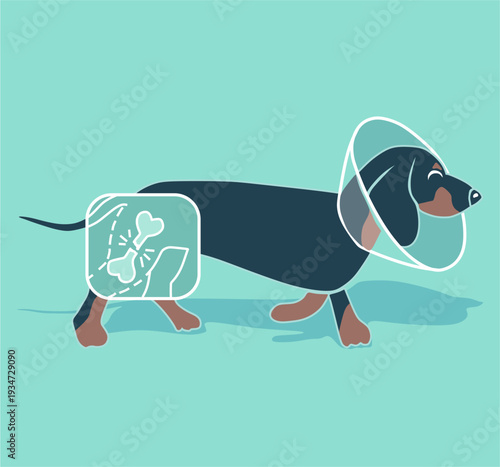 Cute baby dog seamless pattern with paws and bones for kids apparel and nursery vector illustration