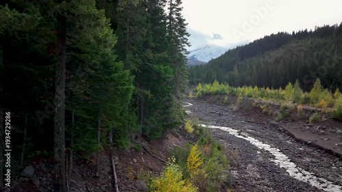 Aerial drone clip over and evergreen forest and river in the American West.