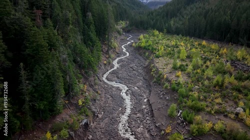 Aerial drone clip over and evergreen forest and river in the American West.