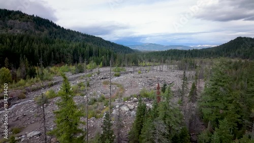 Aerial drone clip over and evergreen forest and river in the American West.