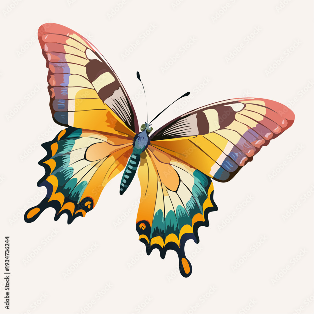 Obraz premium vector illustration of a butterfly