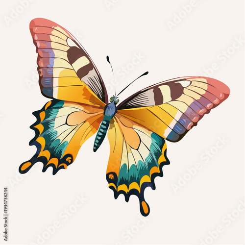 vector illustration of a butterfly