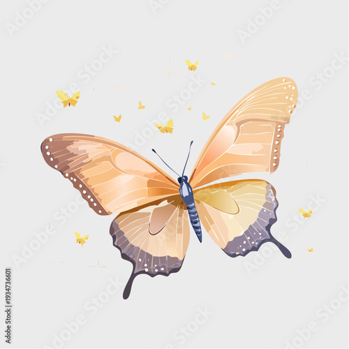butterfly on white background
