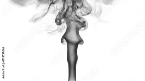 Silhouette of dandelion seeds dispersing in slow motion against white sky 4k footage