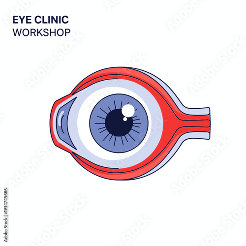 Illustrated Anatomical Eye Diagram Depicting Ocular Structure For Vision Health and Medical