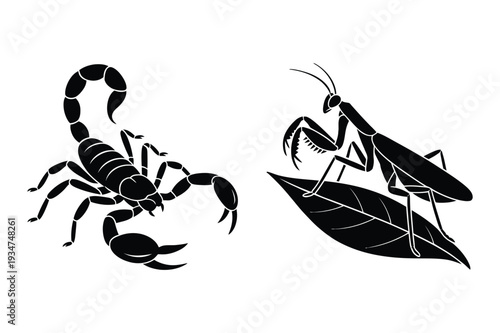 Scorpion and Praying Mantis Vector Art