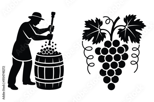 Winemaker Crushing Grapes with Barrel