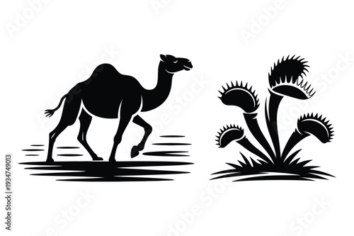 Desert Camel and Carnivorous Venus Flytrap Silhouette Vector