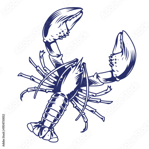 Lobster caught in the sea