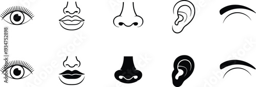 Human facial features line and solid icons set, eye nose lips ear eyebrow isolated on white background