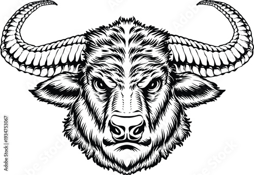 Fierce Buffalo Head Illustration illustration