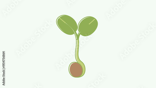 Simple illustration of a green plant seedling sprouting from a seed.