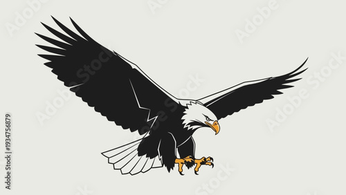 Bald eagle in flight