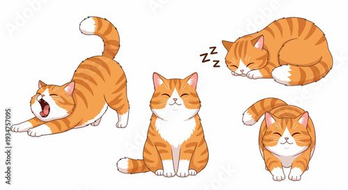 Cute orange tabby cats in various poses including stretching, sitting, and sleeping on a white background, cartoon illustration.