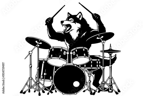 Wild Wolf Playing Drum Set Punk Rock Band Concert Party Animal Musician Black Vector Isolated