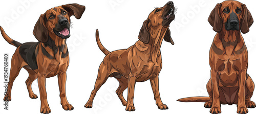 Bavarian Mountain Scenthound dog howling happy sitting pose set