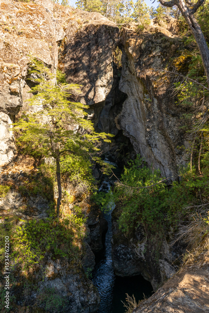 Obraz premium canyon in the forest