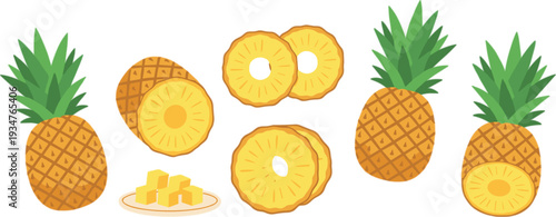 Pineapple whole half and sliced rings collection fresh tropical fruit vector illustration set