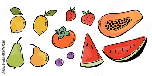 Collection of different fruits isolated on white background. Vector sketch line illustration with watercolor stains. Lemons, pears, persimmon, strawberries, blueberries, papaya and watermelon.
