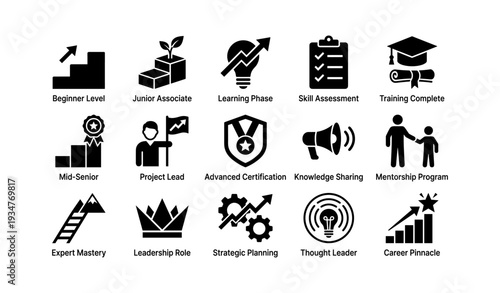 Career development stages and leadership path icons