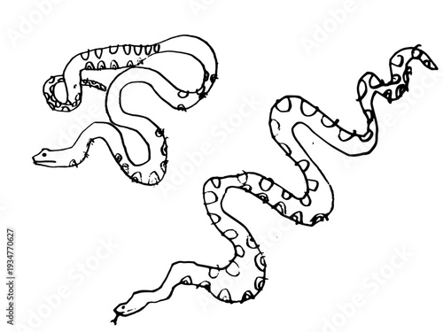 Amazonian anaconda snakes set. Rough pencil drawing of two snakes. Vector trace of Amazon wildlife reptiles.