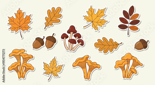 Assorted autumn leaves and forest elements illustration.