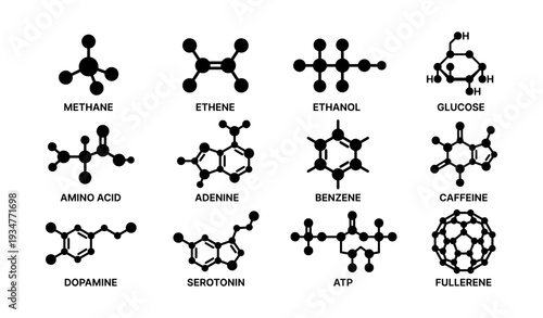 Chemical structures of twelve essential organic molecules