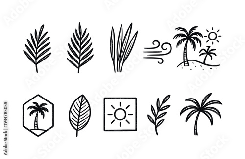 Tropical nature outline icon set. palm leaves, sun, wind elegant design collection