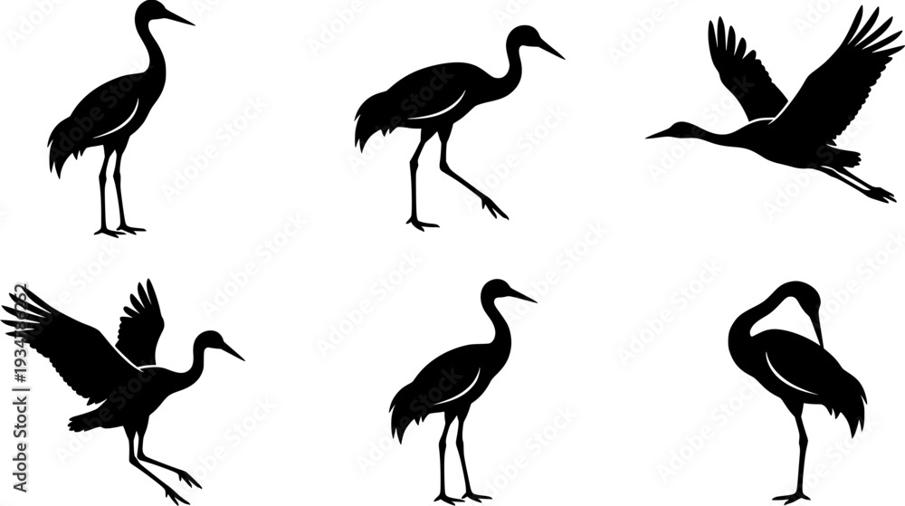 Fototapeta premium Crane bird svg, Crane bird silhouette, Japanese crane svg, Sandhill crane svg, Crane silhouette, Crane svg set 