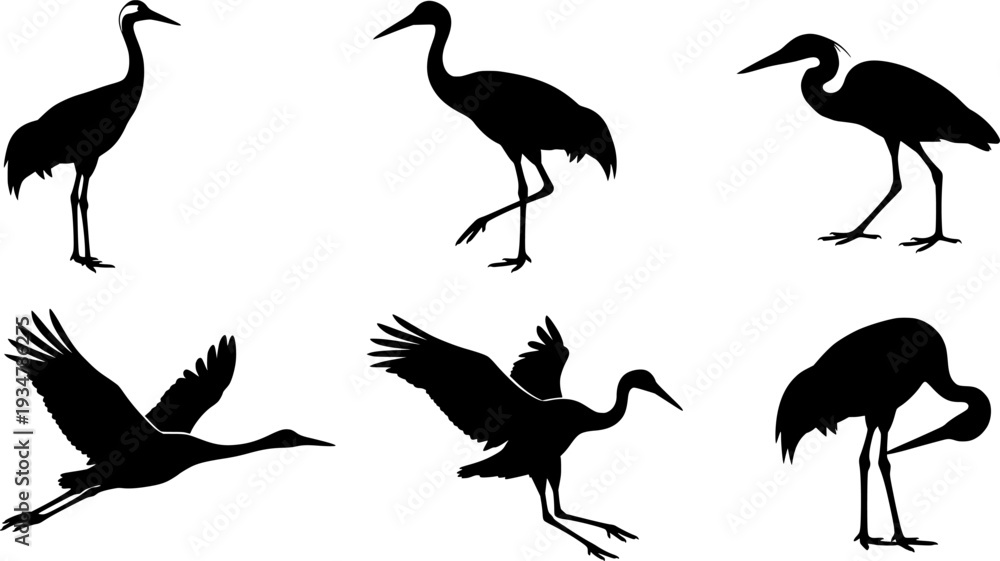 Naklejka premium Crane bird svg, Crane bird silhouette, Japanese crane svg, Sandhill crane svg, Crane silhouette, Crane svg set 