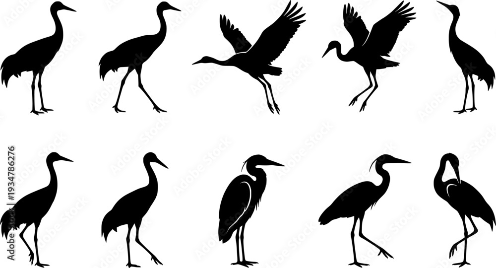 Fototapeta premium Crane bird svg, Crane bird silhouette, Japanese crane svg, Sandhill crane svg, Crane silhouette, Crane svg set 
