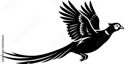 Pheasant silhouette, Flying pheasant silhouette, Pheasant SVG, Pheasant silhouette clip art, Bird silhouettes, Bird SVG, Bird clip art
