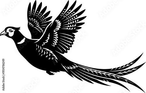 Pheasant silhouette, Flying pheasant silhouette, Pheasant SVG, Pheasant silhouette clip art, Bird silhouettes, Bird SVG, Bird clip art
