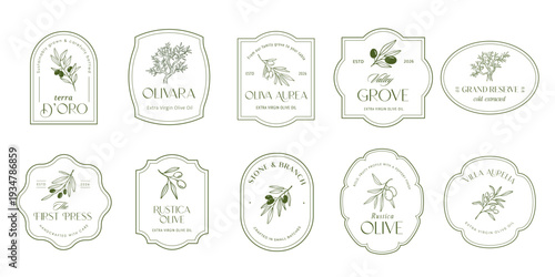 Vintage hand drawn olive old labels, badges and minimalist logos.